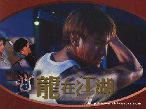 仿制假西弗吉尼亚州ID